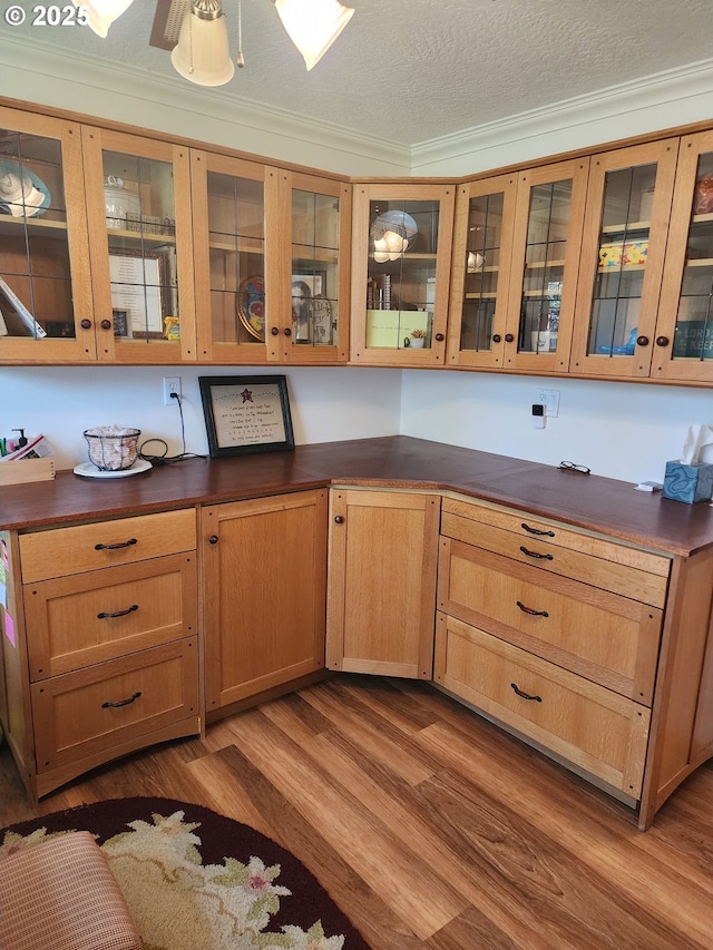 kitchen featuring glass insert cabinets, dark countertops, and wood finished floors