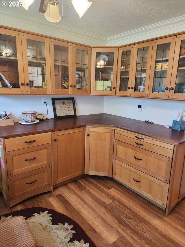 kitchen with wood finished floors, dark countertops, and glass insert cabinets