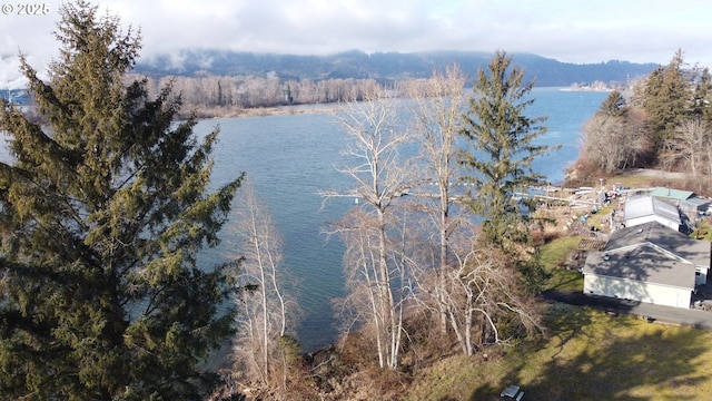 water view with a forest view