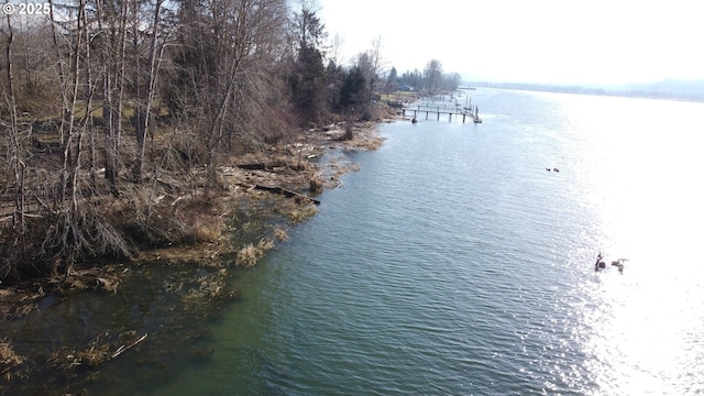 water view featuring a boat dock