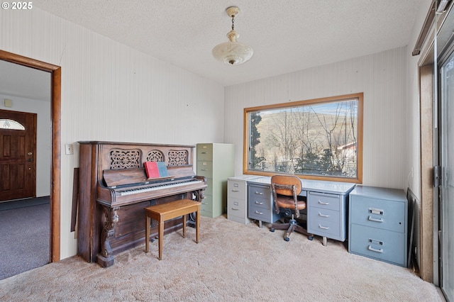 office space featuring a textured ceiling and light colored carpet