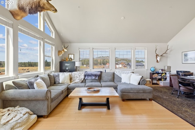 living room with high vaulted ceiling and light hardwood / wood-style flooring