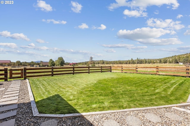 view of yard featuring a rural view