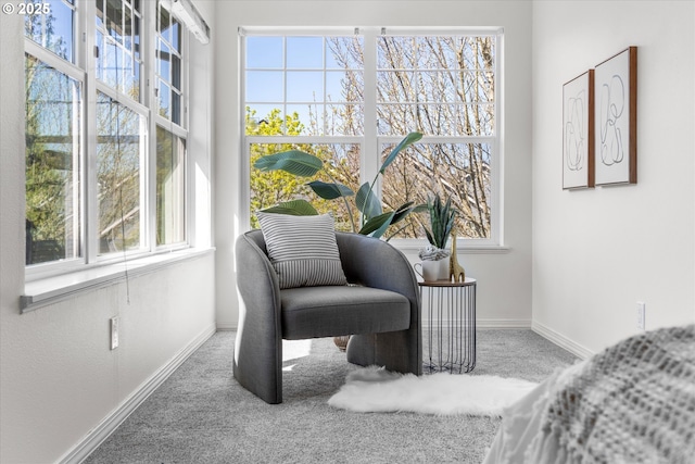 interior space featuring a wealth of natural light, carpet flooring, and baseboards