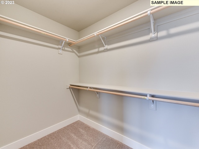 walk in closet with carpet floors