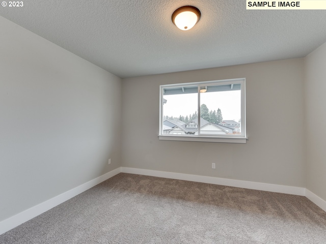 unfurnished room with carpet and a textured ceiling