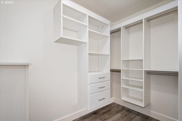 spacious closet featuring dark wood-style floors