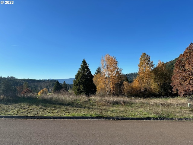 0 Bugle Loop Unit 51, Oakridge OR, 97463 land for sale