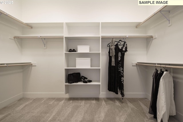 1103 S Mountain Pl, Ridgefield, WA 98642 - spacious closet featuring carpet flooring