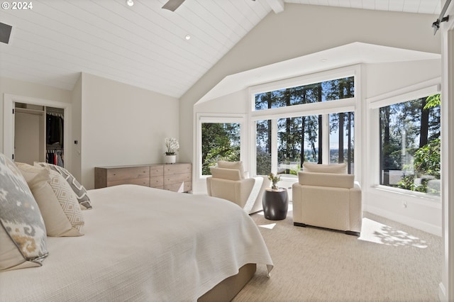 bedroom featuring a walk in closet, multiple windows, carpet flooring, and beamed ceiling