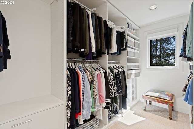 view of spacious closet