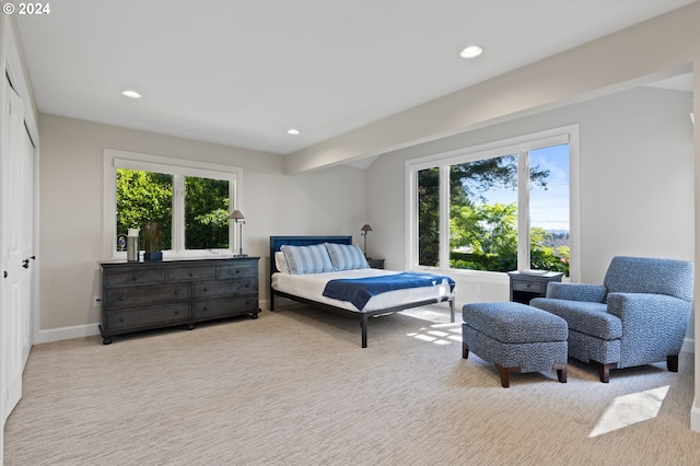 carpeted bedroom featuring recessed lighting, baseboards, and a closet