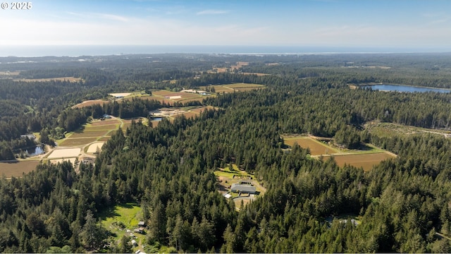 53310 Morrison Rd, Bandon, OR 97411 - view of property location featuring a heavily wooded area and a large body of water