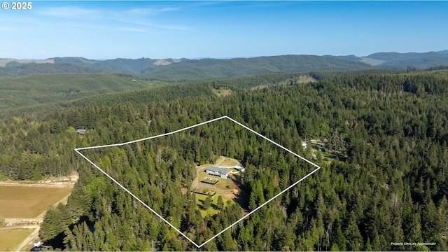 53310 Morrison Rd, Bandon, OR 97411 - aerial view of property's location featuring property parcel outlined