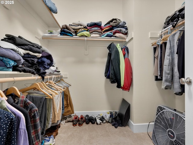 293 W Kershul Cir, Gearhart, OR 97138 - walk in closet with carpet flooring