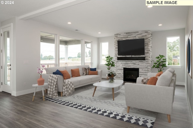 living room featuring hardwood / wood-style flooring and a fireplace