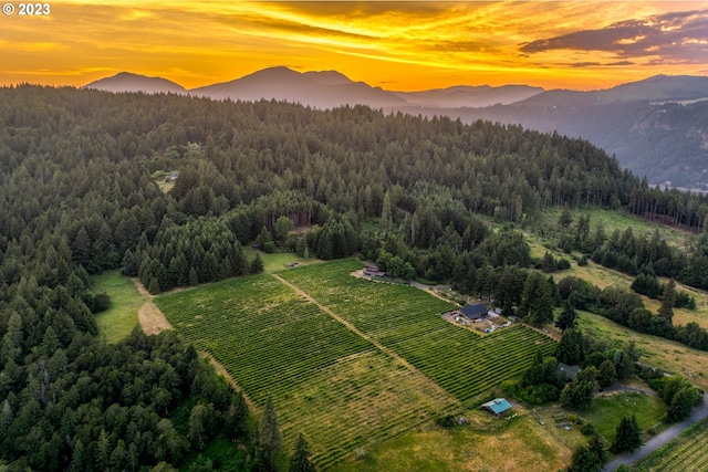 aerial view at dusk with a rural view and a mountain view