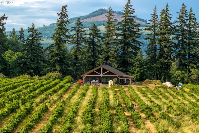 view of yard with a mountain view