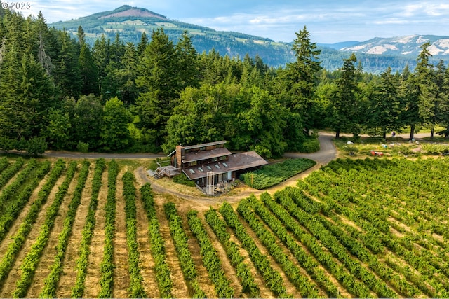 surrounding community with a mountain view and a rural view