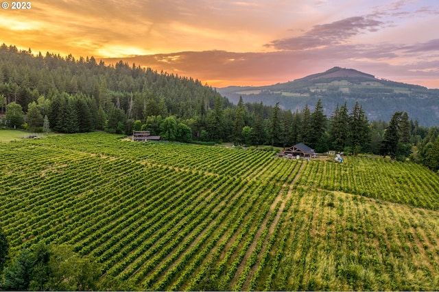 property view of mountains with a rural view