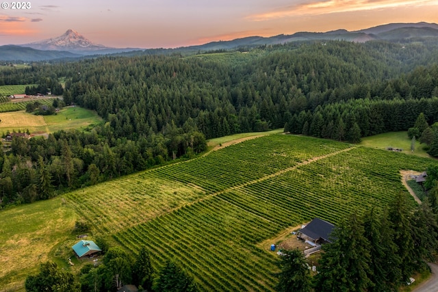 aerial view at dusk featuring a mountain view and a rural view