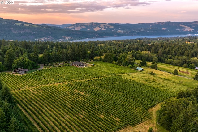 aerial view at dusk featuring a rural view and a mountain view