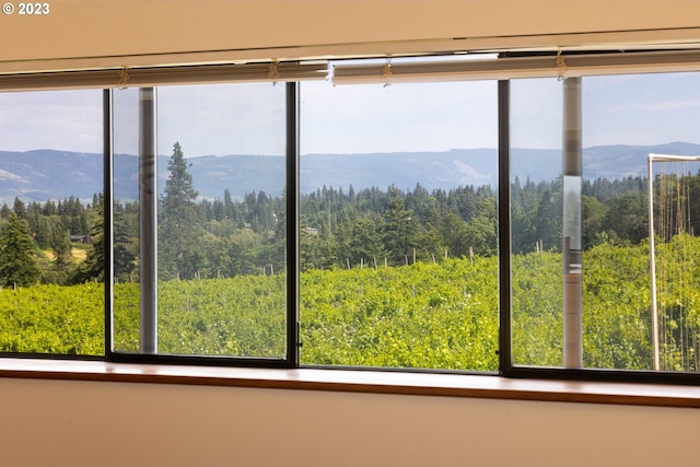 room details featuring a mountain view