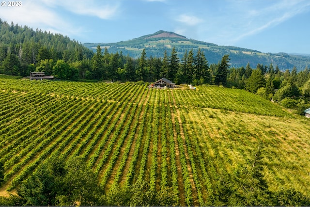 property view of mountains with a rural view