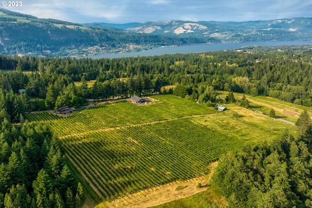 drone / aerial view featuring a mountain view