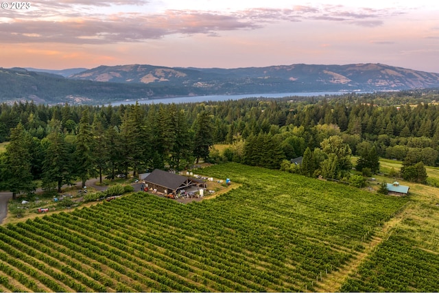 aerial view at dusk with a mountain view