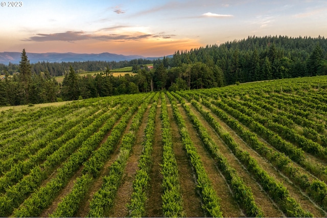 property view of mountains featuring a rural view