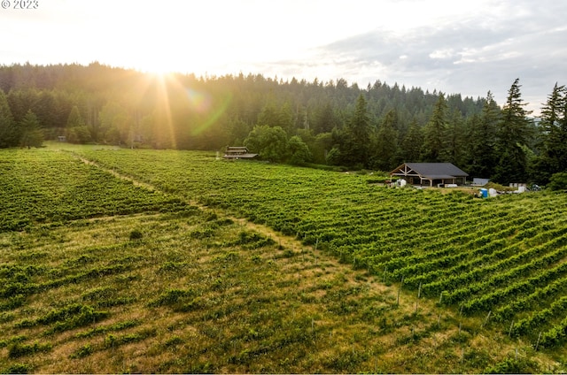 view of yard with a rural view