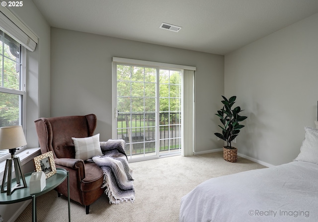 728 NE 72nd Ave, Hillsboro, OR 97124 - bedroom featuring multiple windows, carpet floors, and access to outside