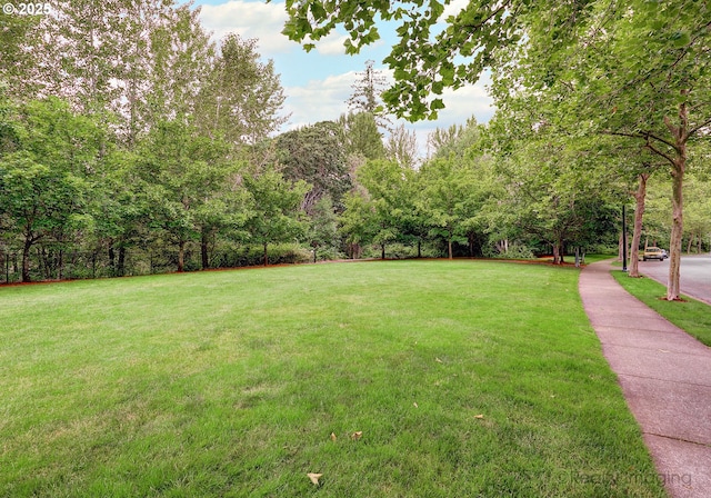 728 NE 72nd Ave, Hillsboro, OR 97124 - view of green lawn