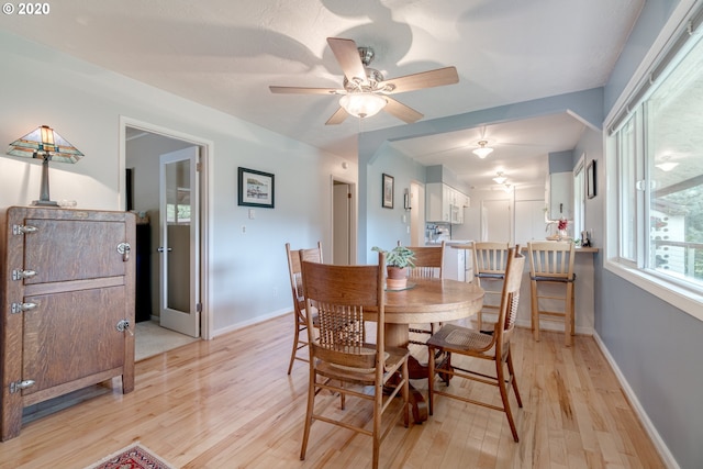 dining space with ceiling fan and light wood-type flooring