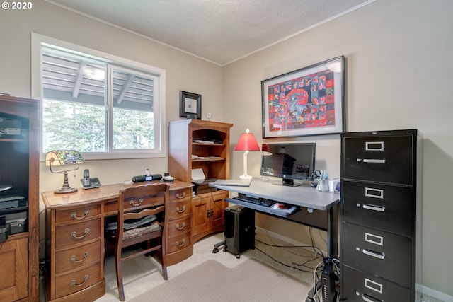 office area with light colored carpet