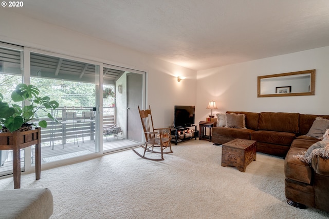 view of carpeted living room