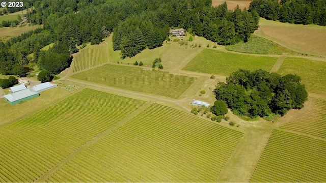 aerial view featuring a rural view