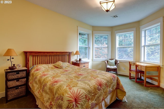 bedroom with a textured ceiling and dark carpet