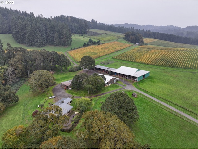 drone / aerial view featuring a rural view