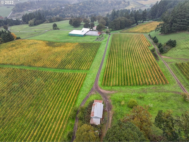 bird's eye view featuring a rural view