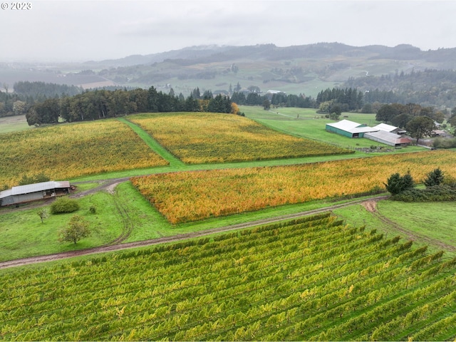 bird's eye view with a mountain view and a rural view