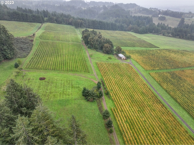 drone / aerial view featuring a rural view