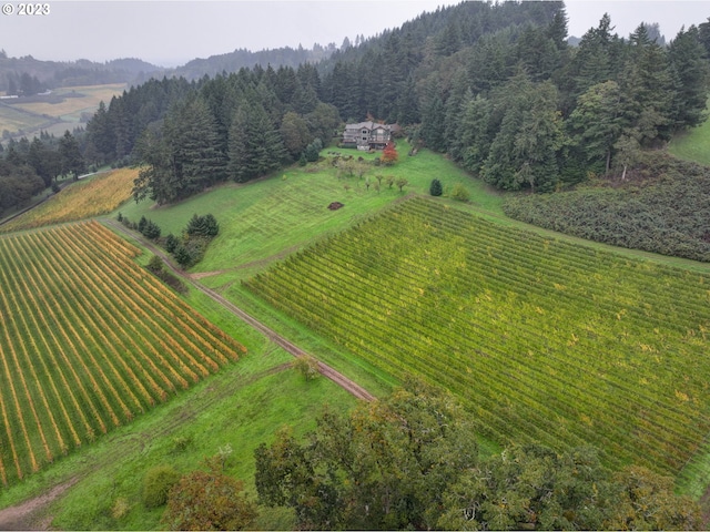 bird's eye view with a rural view