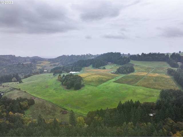 drone / aerial view featuring a rural view