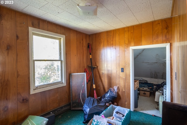 misc room featuring wooden walls and carpet floors