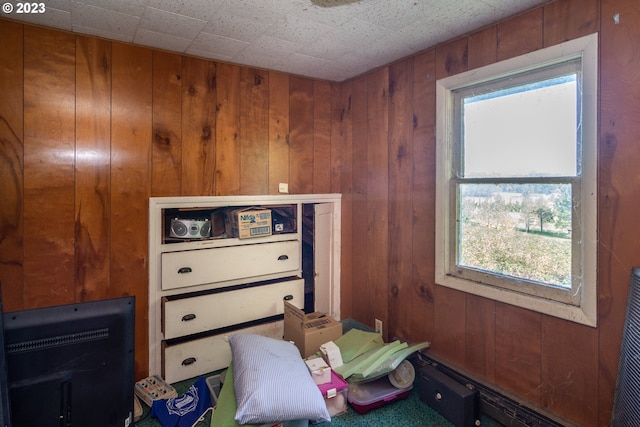 miscellaneous room featuring wood walls