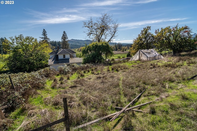 view of yard with a rural view