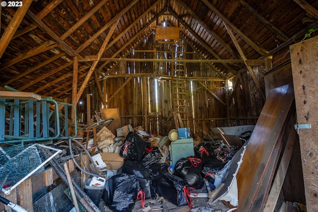 miscellaneous room with lofted ceiling