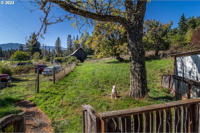 view of yard featuring a mountain view